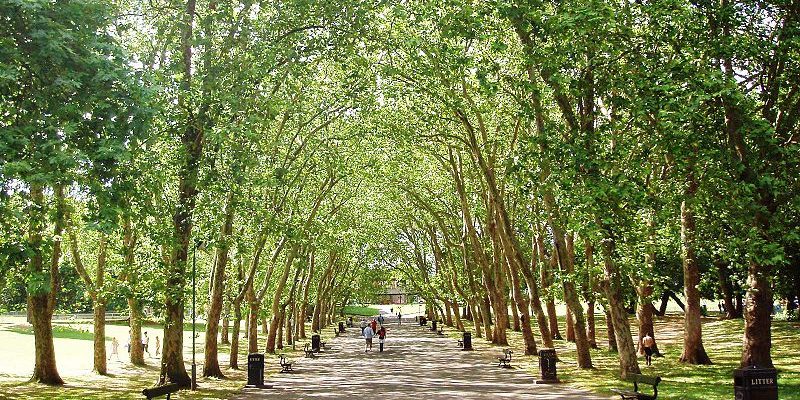 gatwick-airport-transfer-to-anerley Taxi from Anerley to Gatwick Airport