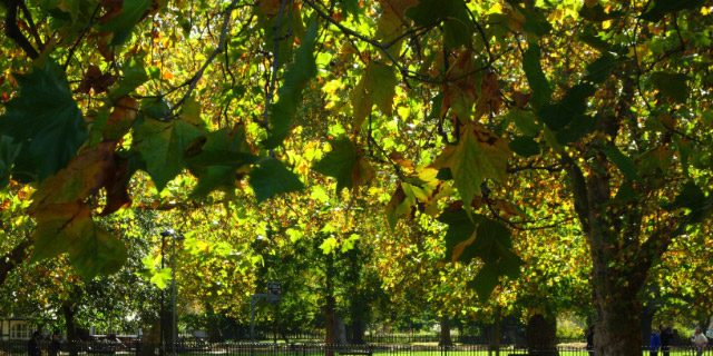 KENNINGTON PARK Taxi Transfer from Kennington to Gatwick Airport