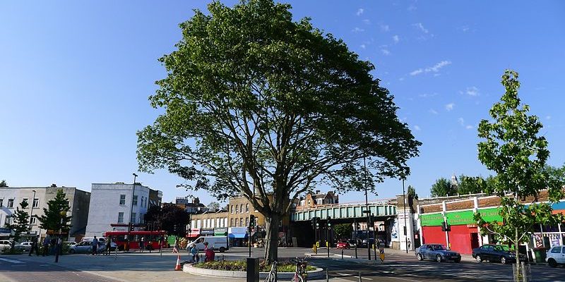 Taxi Transfer from Herne Hill to Heathrow Airport