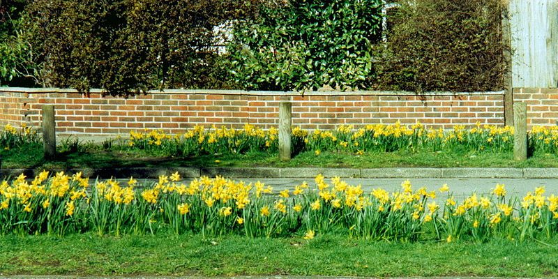 Taxi Transfer from Putney to London City Airport