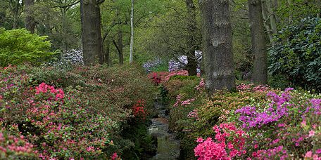 Taxi Transfer from Mortlake to Luton Airport