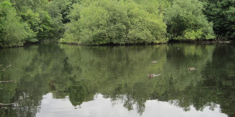 Taxi Transfer from Mill Hill to Gatwick Airport