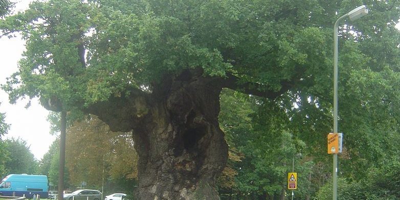 Taxi Transfer from Addlestone to Heathrow Airport