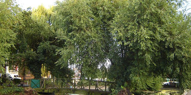 heathrow-airport-transfer-to-clapton Taxi from Clapton to Heathrow Airport