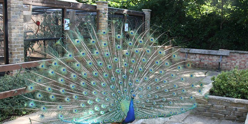 london-city-airport-transfer-to-hanwell Taxi Transfer from Hanwell to London City Airport