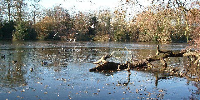 Taxi Transfer from Chingford to Luton Airport