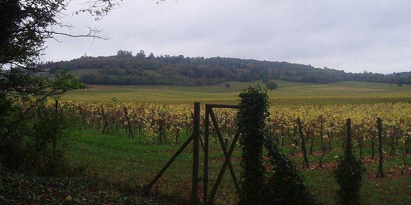 luton-airport-transfer-to-dorking Taxi Transfer from Dorking to Luton Airport