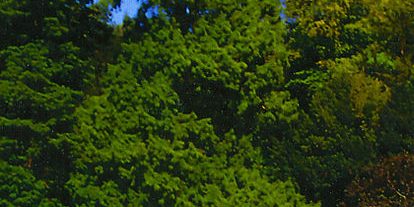 Airport Transfer from Maida Hill to Luton Airport