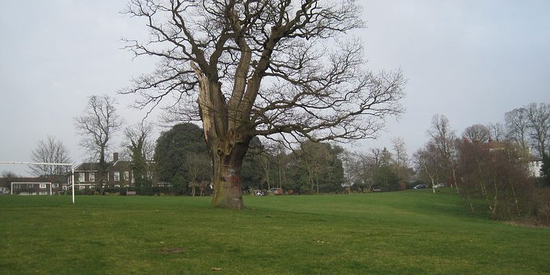 Taxi Transfer from Mill Hill to Luton Airport