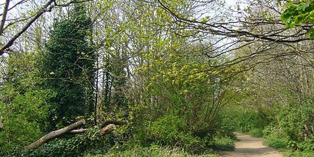 Taxi from Muswell Hill to Luton Airport