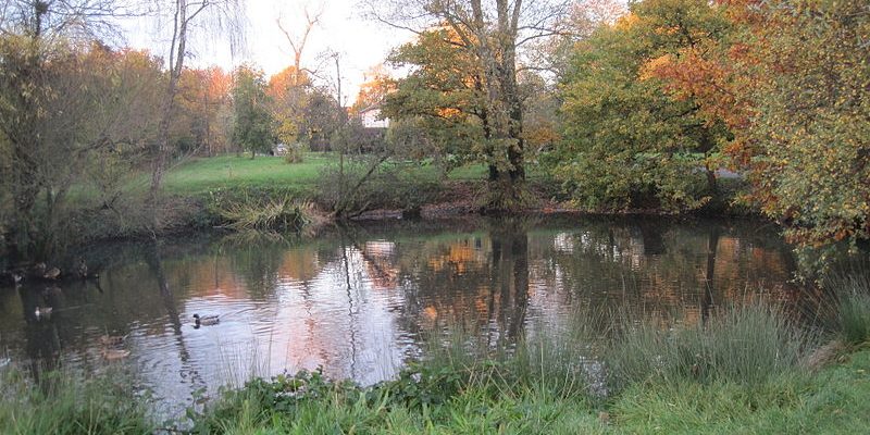 Taxi Transfer from Whetstone to Luton Airport