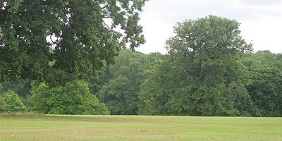 Taxi Transfer from Southgate to Stansted Airport