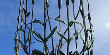 Taxi Transfer from Wallington to Gatwick Airport