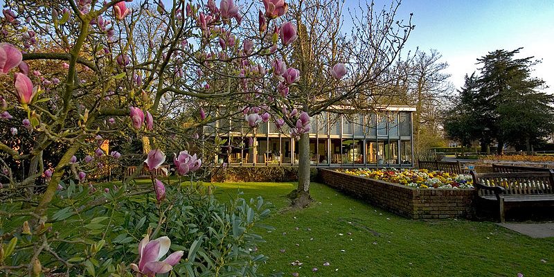 Taxi Transfer from Carshalton to London City Airport