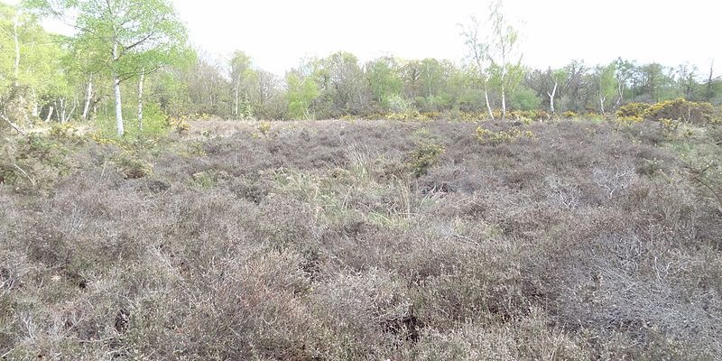 Taxi Transfer from Keston to London City Airport