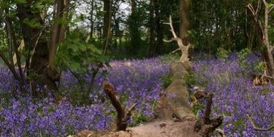 Taxi from South Ockendon to Luton Airport