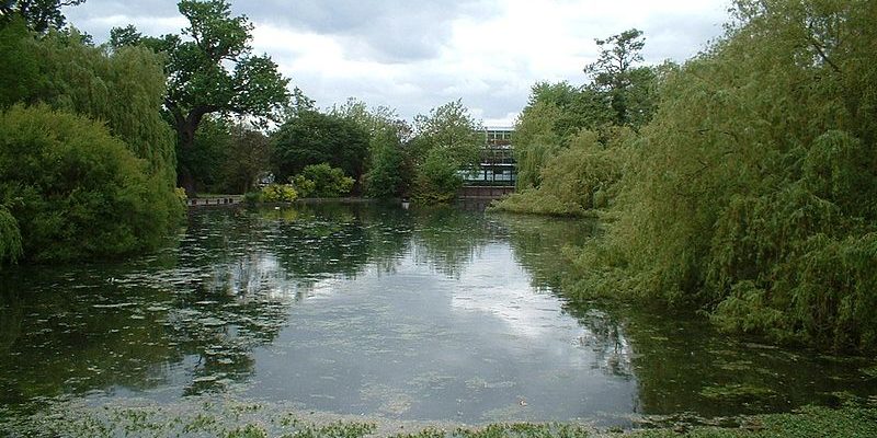 Taxi Transfer from Orpington to Stansted Airport