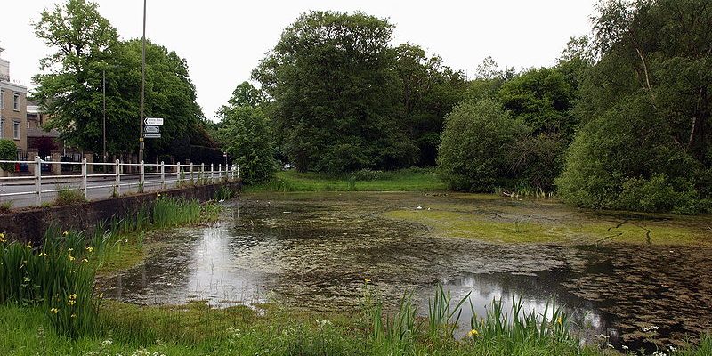 luton-airport-transfer-to-merton Taxi Transfer from Merton to Luton Airport