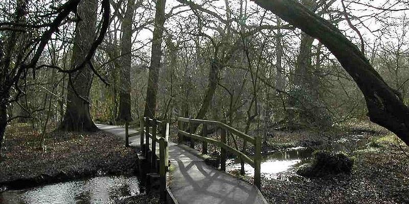 Taxi Transfer from Watford to Luton Airport