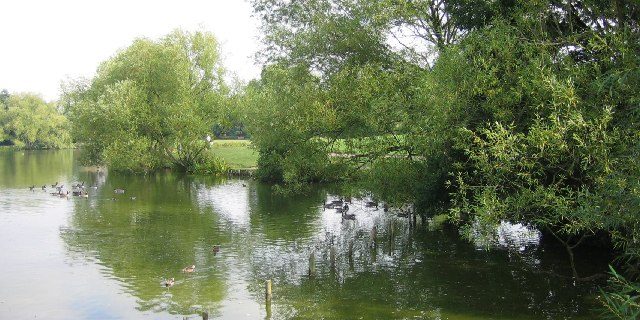 Taxi Transfer from Billericay to Stansted Airport